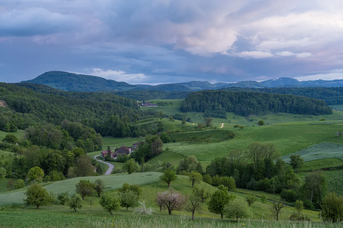 Des territoires vivants